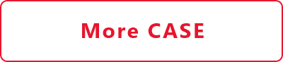 More CASE
