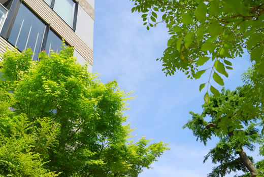 緑豊かな住環境を提供